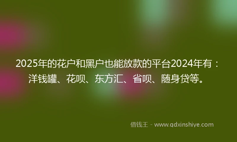 2025年的花户和黑户也能放款的平台2024年有：洋钱罐、花呗、东方汇、省呗、随身贷等。