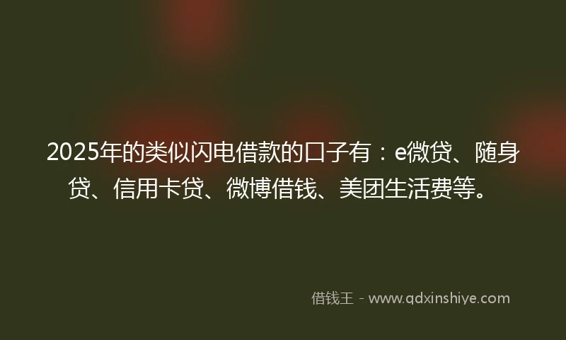 2025年的类似闪电借款的口子有：e微贷、随身贷、信用卡贷、微博借钱、美团生活费等。