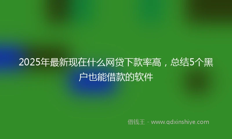 2025年最新现在什么网贷下款率高，总结5个黑户也能借款的软件