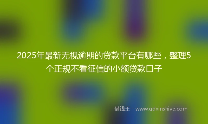 2025年最新无视逾期的贷款平台有哪些，整理5个正规不看征信的小额贷款口子
