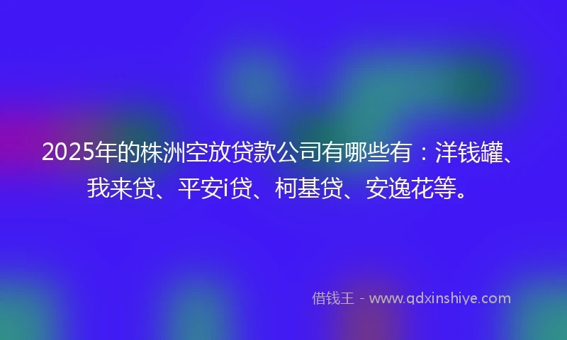 2025年的株洲空放贷款公司有哪些有：洋钱罐、我来贷、平安i贷、柯基贷、安逸花等。