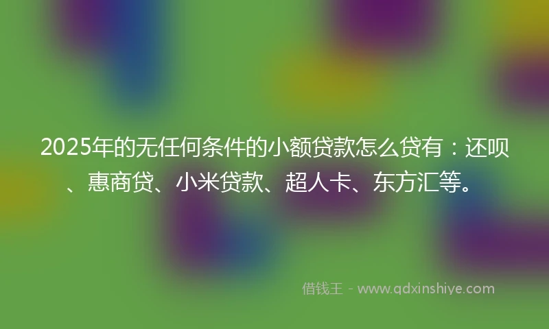 2025年的无任何条件的小额贷款怎么贷有：还呗、惠商贷、小米贷款、超人卡、东方汇等。