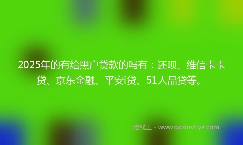2025年的有给黑户贷款的吗有：还呗、维信卡卡贷、京东金融、平安i贷、51人品贷等。