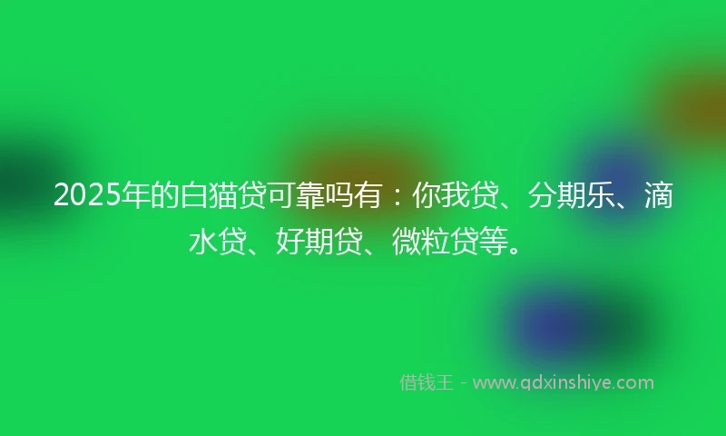 2025年的白猫贷可靠吗有：你我贷、分期乐、滴水贷、好期贷、微粒贷等。