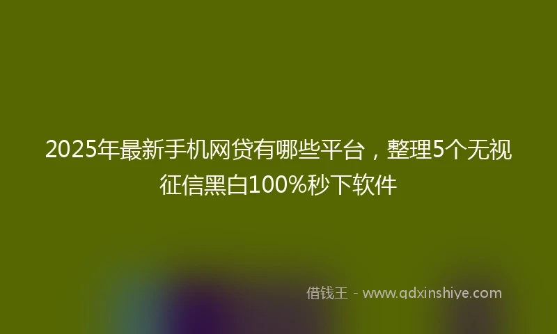 2025年最新手机网贷有哪些平台，整理5个无视征信黑白100%秒下软件