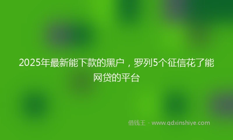 2025年最新能下款的黑户，罗列5个征信花了能网贷的平台