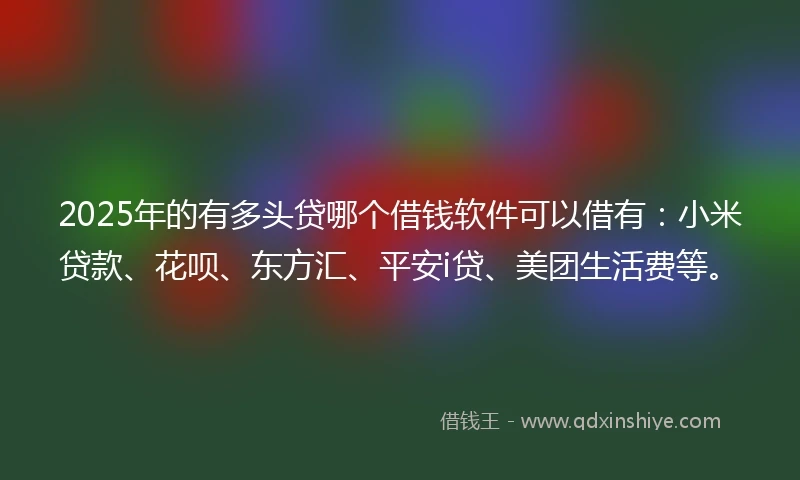 2025年的有多头贷哪个借钱软件可以借有：小米贷款、花呗、东方汇、平安i贷、美团生活费等。