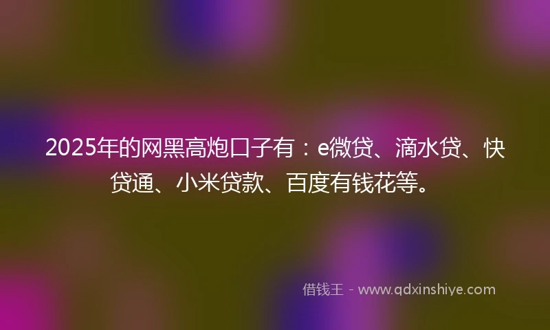 2025年的网黑高炮口子有:e微贷、滴水贷、快贷通、小米贷款、百度有钱花等。