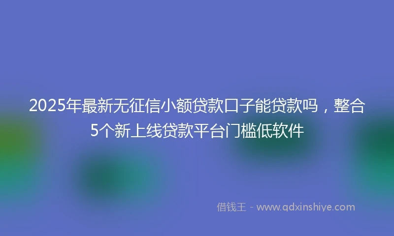 2025年最新无征信小额贷款口子能贷款吗，整合5个新上线贷款平台门槛低软件