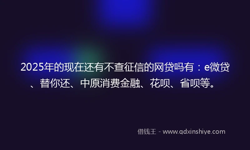 2025年的现在还有不查征信的网贷吗有：e微贷、替你还、中原消费金融、花呗、省呗等。
