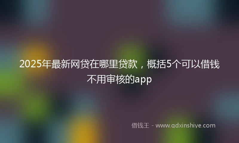 2025年最新网贷在哪里贷款，概括5个可以借钱不用审核的app