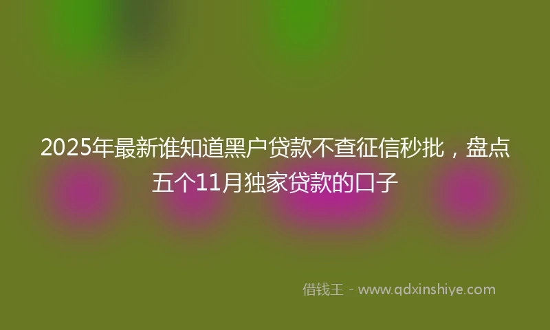 2025年最新谁知道黑户贷款不查征信秒批，盘点五个11月独家贷款的口子