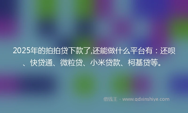 2025年的拍拍贷下款了,还能做什么平台有：还呗、快贷通、微粒贷、小米贷款、柯基贷等。