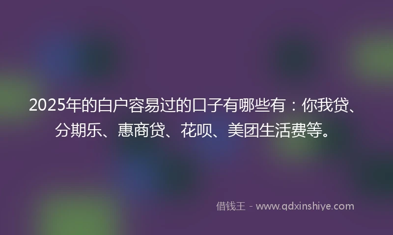 2025年的白户容易过的口子有哪些有：你我贷、分期乐、惠商贷、花呗、美团生活费等。