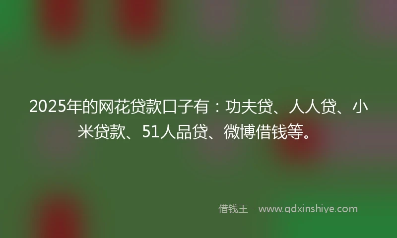 2025年的网花贷款口子有：功夫贷、人人贷、小米贷款、51人品贷、微博借钱等。