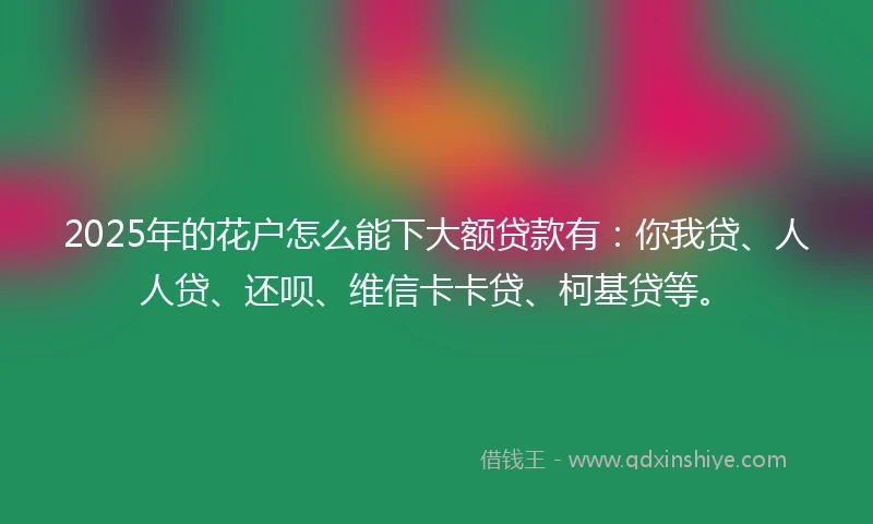 2025年的花户怎么能下大额贷款有:你我贷、人人贷、还呗、维信卡卡贷、柯基贷等。