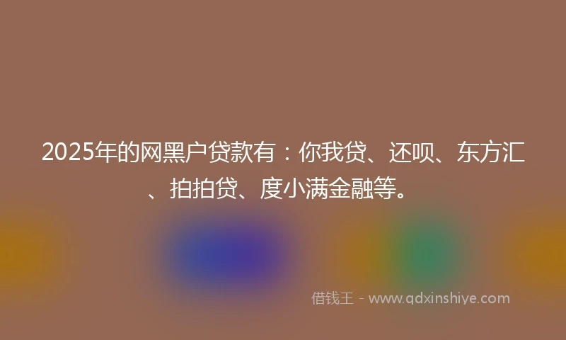 2025年的网黑户贷款有：你我贷、还呗、东方汇、拍拍贷、度小满金融等。