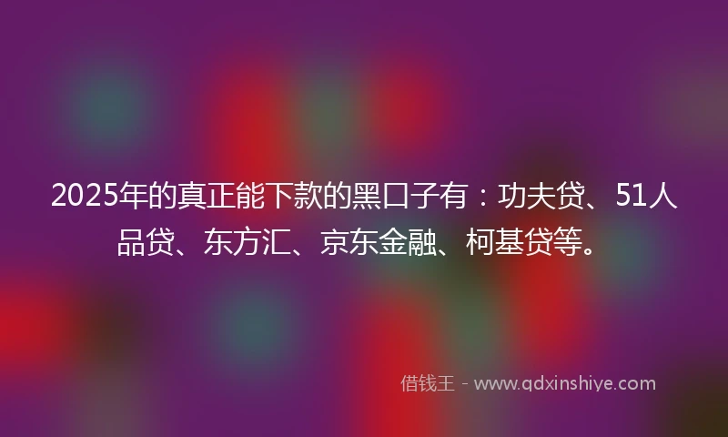 2025年的真正能下款的黑口子有：功夫贷、51人品贷、东方汇、京东金融、柯基贷等。