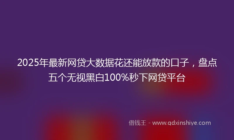 2025年最新网贷大数据花还能放款的口子，盘点五个无视黑白100%秒下网贷平台