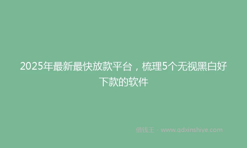 2025年最新最快放款平台，梳理5个无视黑白好下款的软件