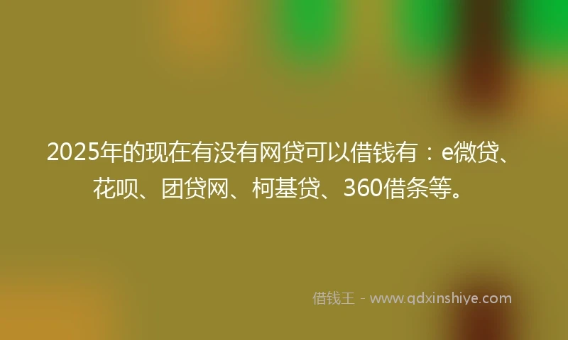 2025年的现在有没有网贷可以借钱有：e微贷、花呗、团贷网、柯基贷、360借条等。