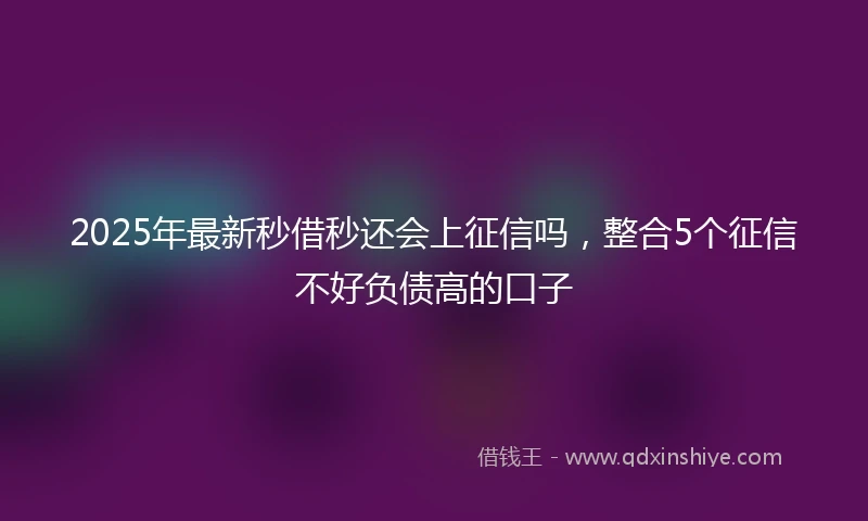 2025年最新秒借秒还会上征信吗，整合5个征信不好负债高的口子