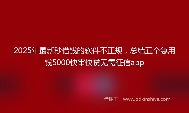 2025年最新秒借钱的软件不正规，总结五个急用钱5000快审快贷无需征信app
