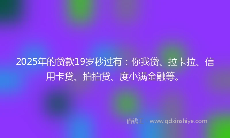 2025年的贷款19岁秒过有：你我贷、拉卡拉、信用卡贷、拍拍贷、度小满金融等。