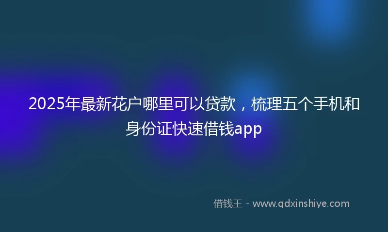 2025年最新花户哪里可以贷款，梳理五个手机和身份证快速借钱app