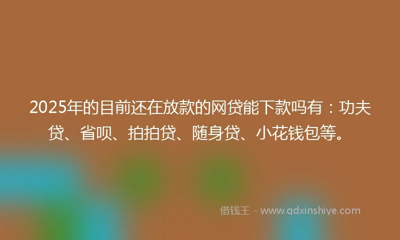 2025年的目前还在放款的网贷能下款吗有：功夫贷、省呗、拍拍贷、随身贷、小花钱包等。