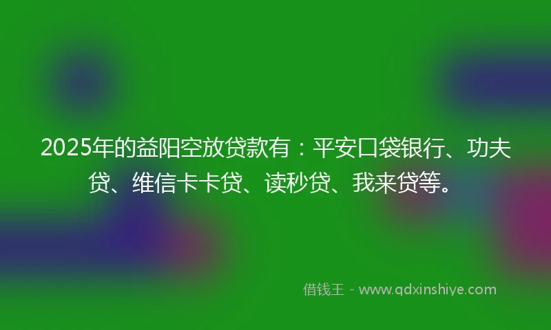 2025年的益阳空放贷款有：平安口袋银行、功夫贷、维信卡卡贷、读秒贷、我来贷等。