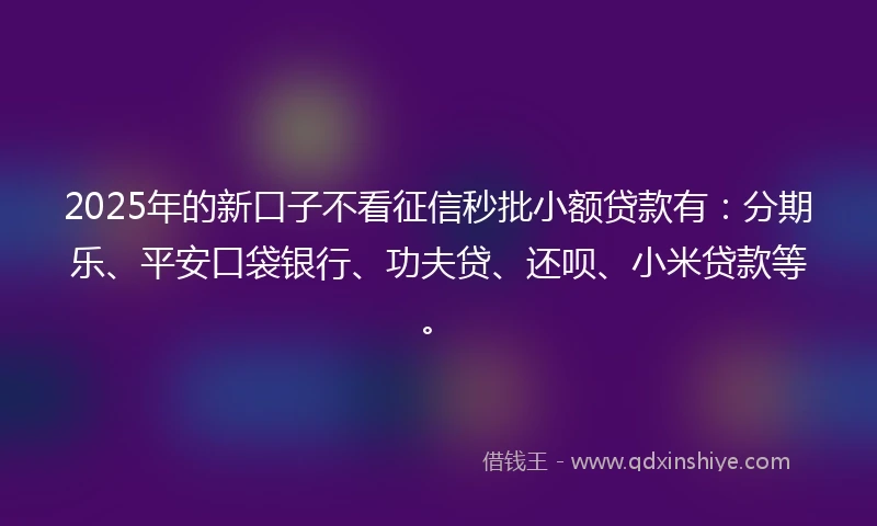 2025年的新口子不看征信秒批小额贷款有：分期乐、平安口袋银行、功夫贷、还呗、小米贷款等。