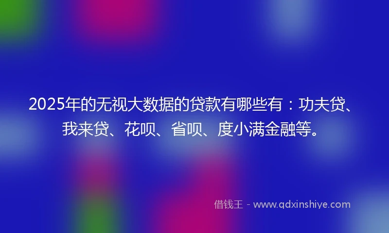 2025年的无视大数据的贷款有哪些有：功夫贷、我来贷、花呗、省呗、度小满金融等。