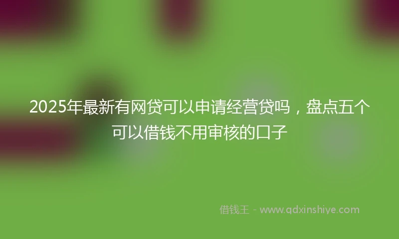 2025年最新有网贷可以申请经营贷吗，盘点五个可以借钱不用审核的口子