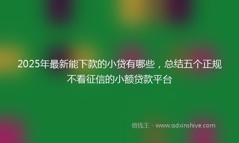 2025年最新能下款的小贷有哪些，总结五个正规不看征信的小额贷款平台