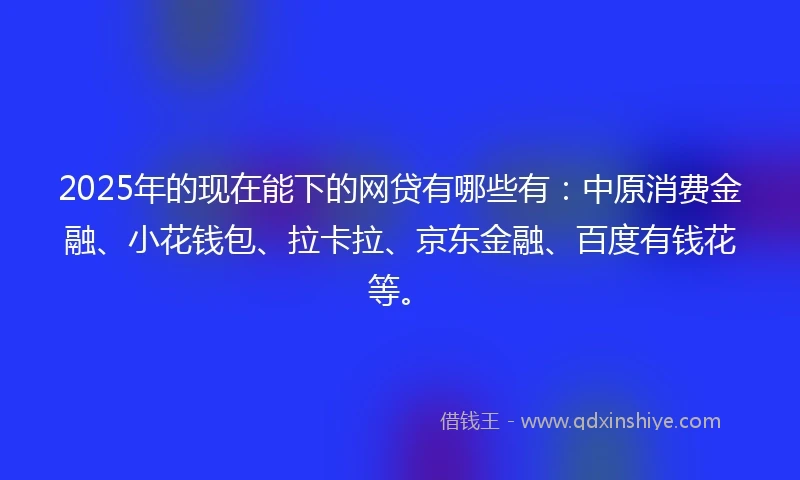 2025年的现在能下的网贷有哪些有：中原消费金融、小花钱包、拉卡拉、京东金融、百度有钱花等。