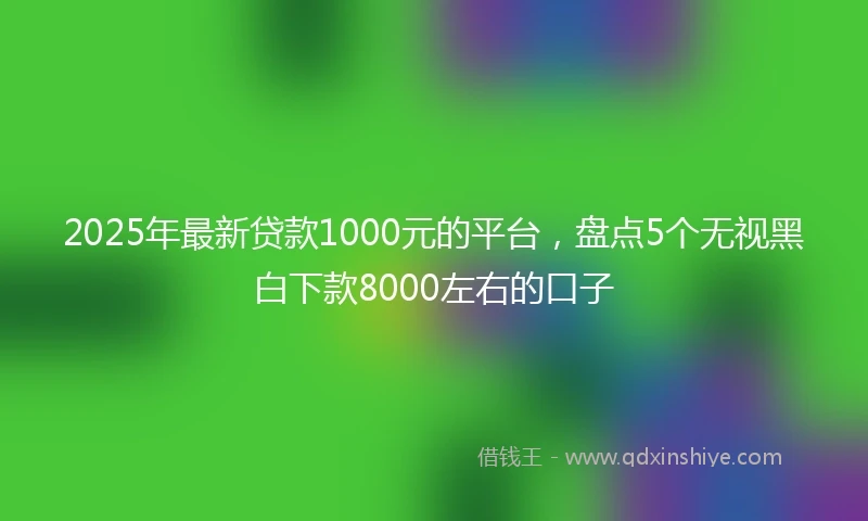 2025年最新贷款1000元的平台，盘点5个无视黑白下款8000左右的口子