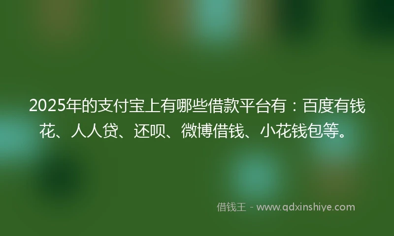 2025年的支付宝上有哪些借款平台有：百度有钱花、人人贷、还呗、微博借钱、小花钱包等。