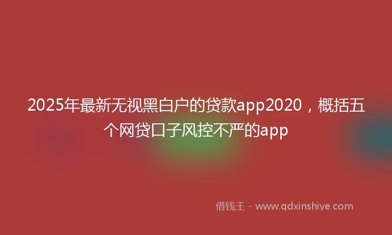2025年最新无视黑白户的贷款app2020，概括五个网贷口子风控不严的app