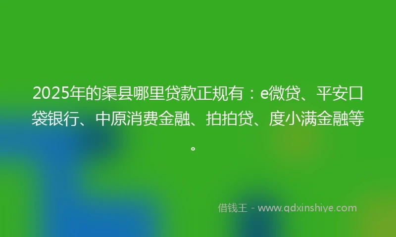 2025年的渠县哪里贷款正规有：e微贷、平安口袋银行、中原消费金融、拍拍贷、度小满金融等。