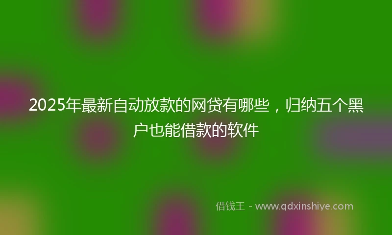 2025年最新自动放款的网贷有哪些，归纳五个黑户也能借款的软件