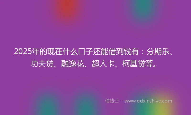 2025年的现在什么口子还能借到钱有：分期乐、功夫贷、融逸花、超人卡、柯基贷等。