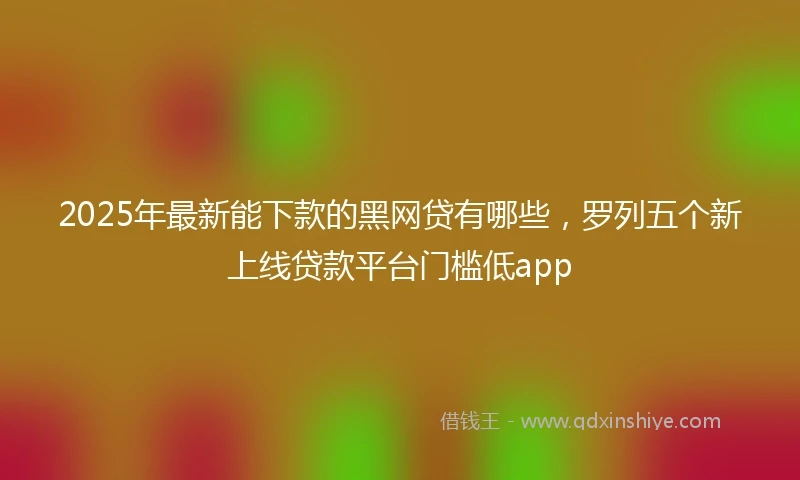 2025年最新能下款的黑网贷有哪些，罗列五个新上线贷款平台门槛低app