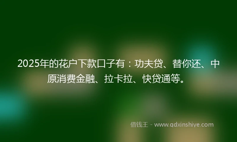 2025年的花户下款口子有：功夫贷、替你还、中原消费金融、拉卡拉、快贷通等。