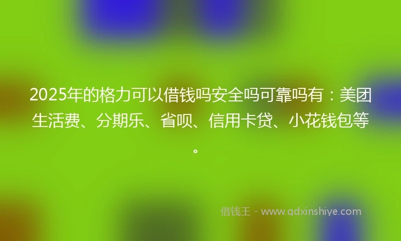 2025年的格力可以借钱吗安全吗可靠吗有：美团生活费、分期乐、省呗、信用卡贷、小花钱包等。