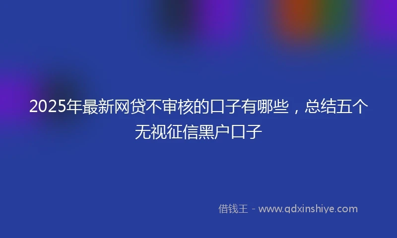 2025年最新网贷不审核的口子有哪些，总结五个无视征信黑户口子