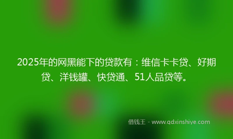 2025年的网黑能下的贷款有：维信卡卡贷、好期贷、洋钱罐、快贷通、51人品贷等。