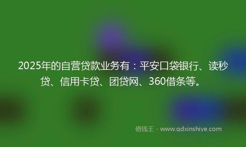 2025年的自营贷款业务有：平安口袋银行、读秒贷、信用卡贷、团贷网、360借条等。
