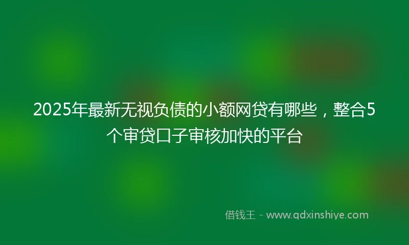 2025年最新无视负债的小额网贷有哪些，整合5个审贷口子审核加快的平台