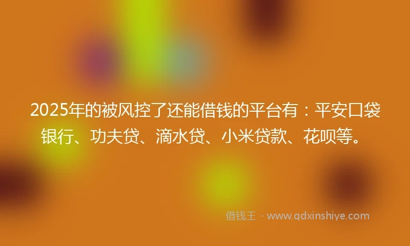 2025年的被风控了还能借钱的平台有：平安口袋银行、功夫贷、滴水贷、小米贷款、花呗等。
